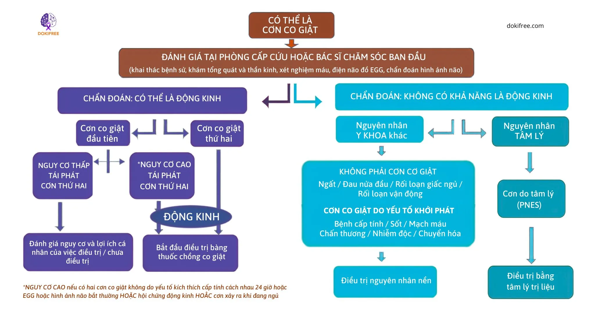 Mô hình giải phẫu bộ não cắt dọc đặt trên giá, thấy rõ thể chai và tiểu não